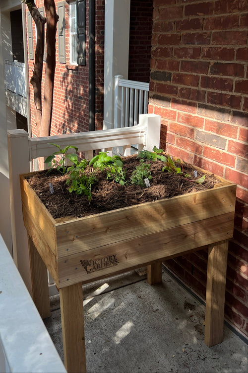 Large Victory Garden
