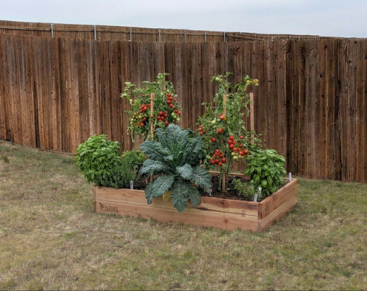 Victory Gardens DTX garden bed